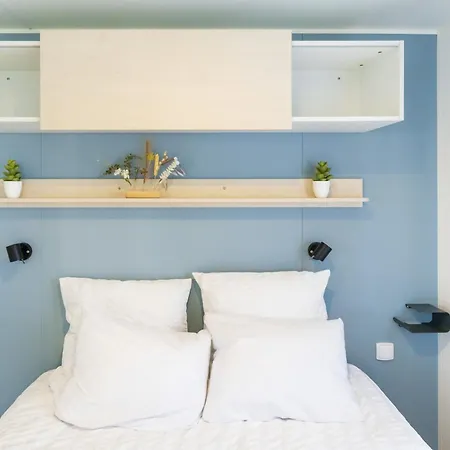 Les Oyats סניוס